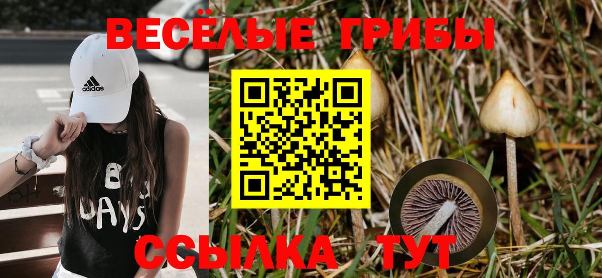 Псилоцибиновые грибы мицелий Первоуральск